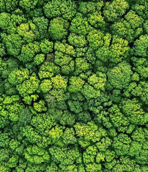 ThinkPlace is a signatory to the United Nations Global Compact