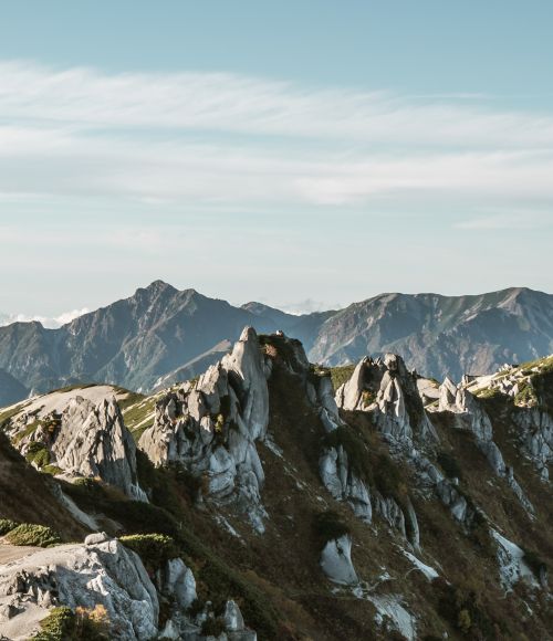 ThinkPlace is working on a new strategy paradigm for New Zealand's Ministry for the Environment