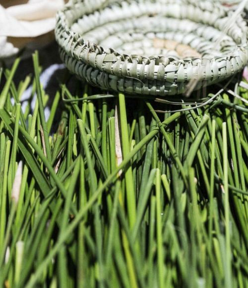 ThinkPlace worked with DELWP on an indigenous placenaming project