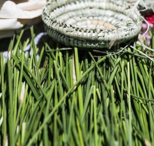 ThinkPlace worked with DELWP on an indigenous placenaming project